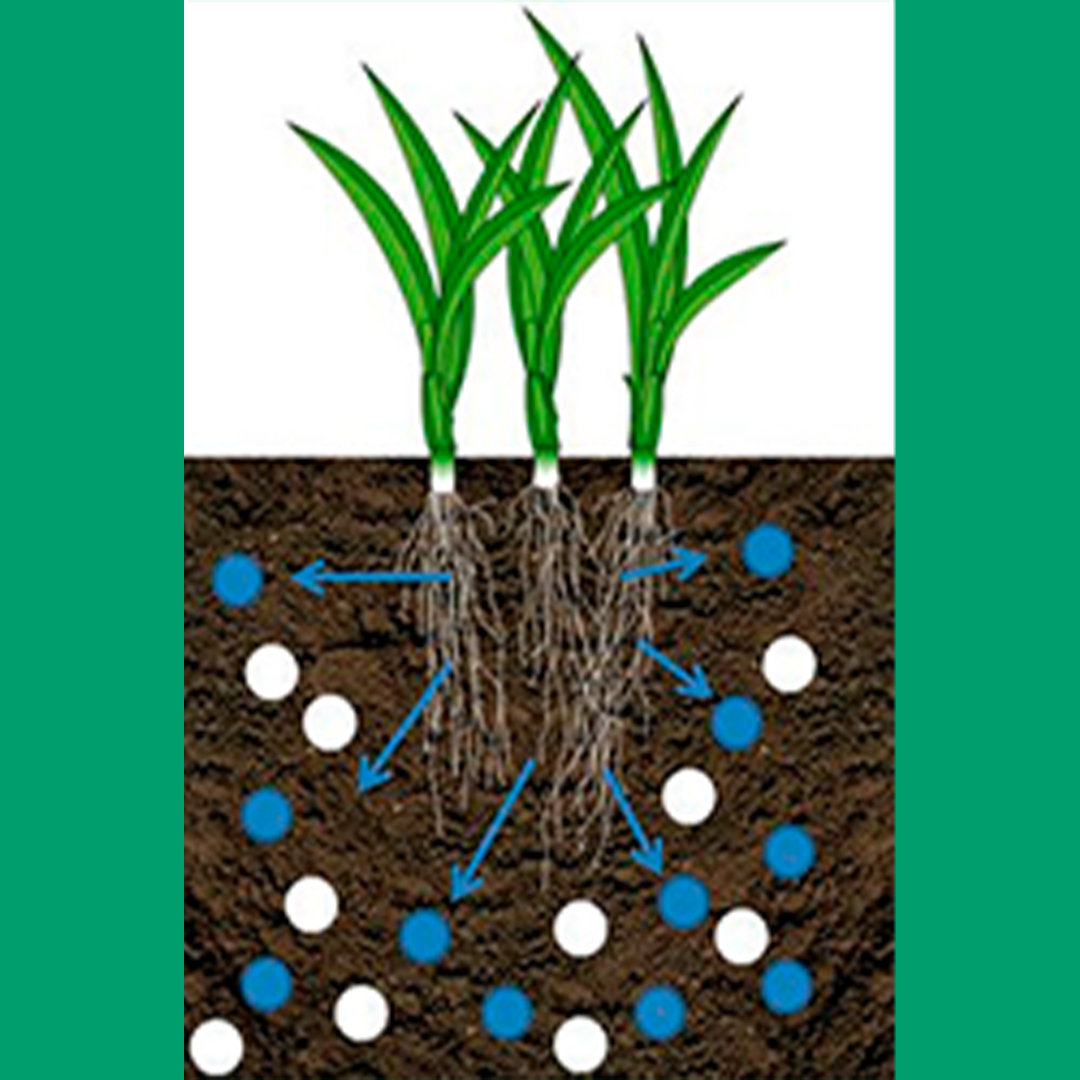 TourTurf® TSF Turf Salt Flush 7-0-0 + 11% CaO